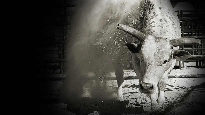 The Morning Line - Anaheim Round 2