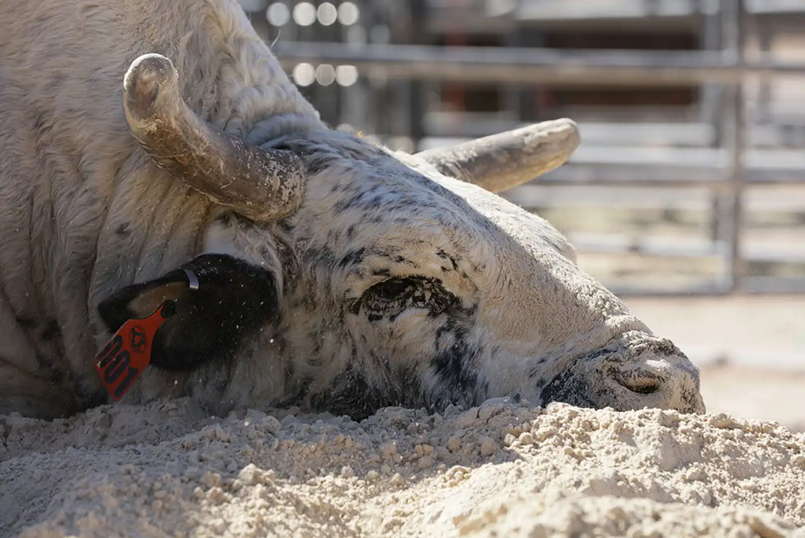 dc7ff1ce-4521-49a1-a37b-6cbd60a530ad