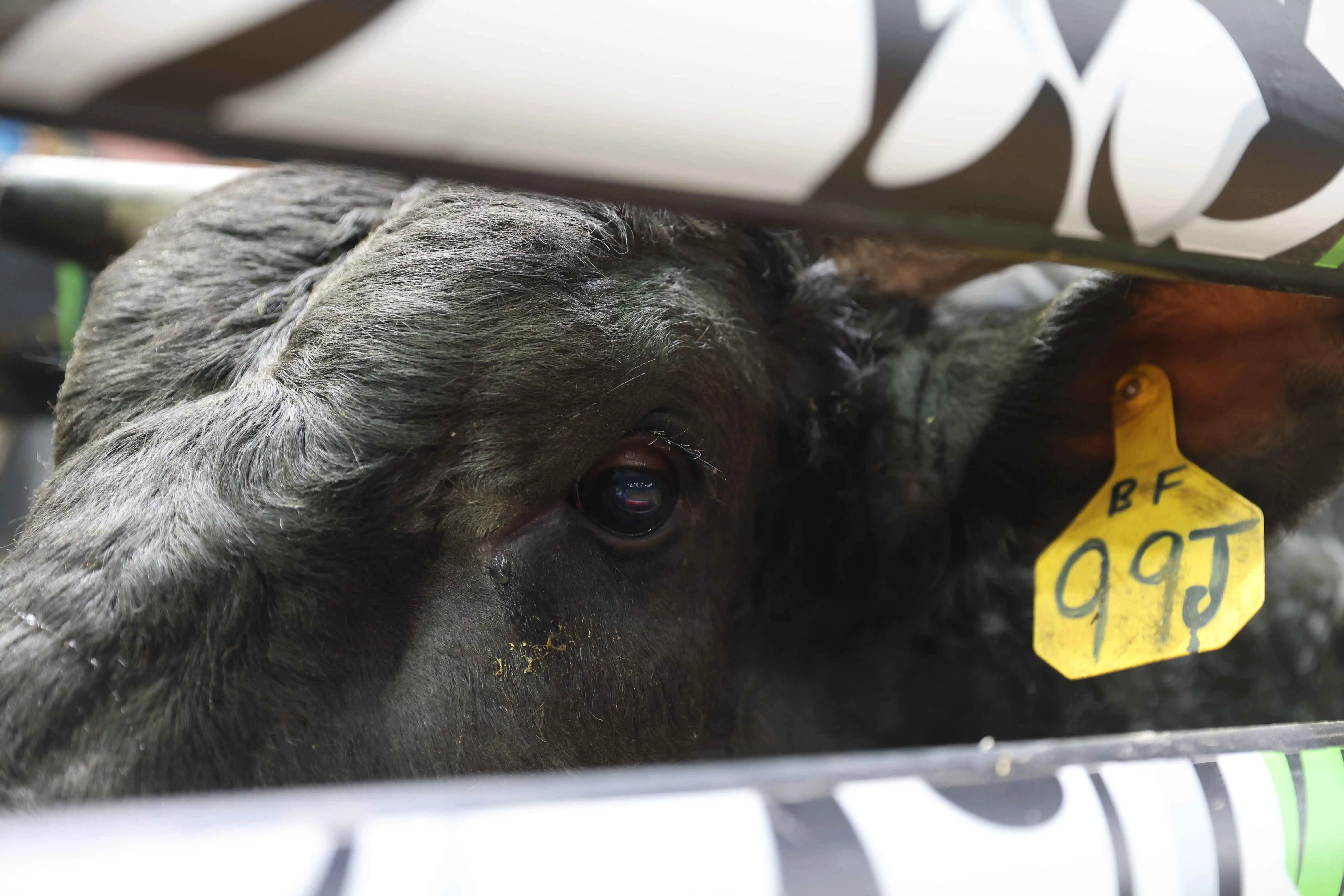 25 LIVE Nampa 02 158