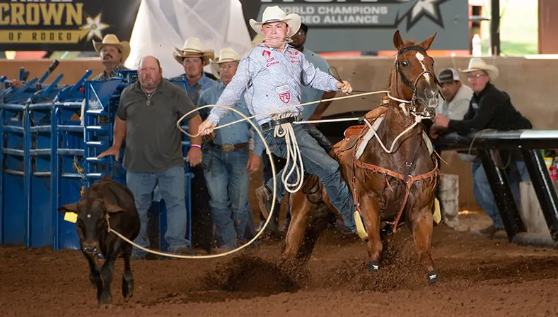 17-year-old tie-down roper Riley Webb looks to become youngest millionaire in rodeo history