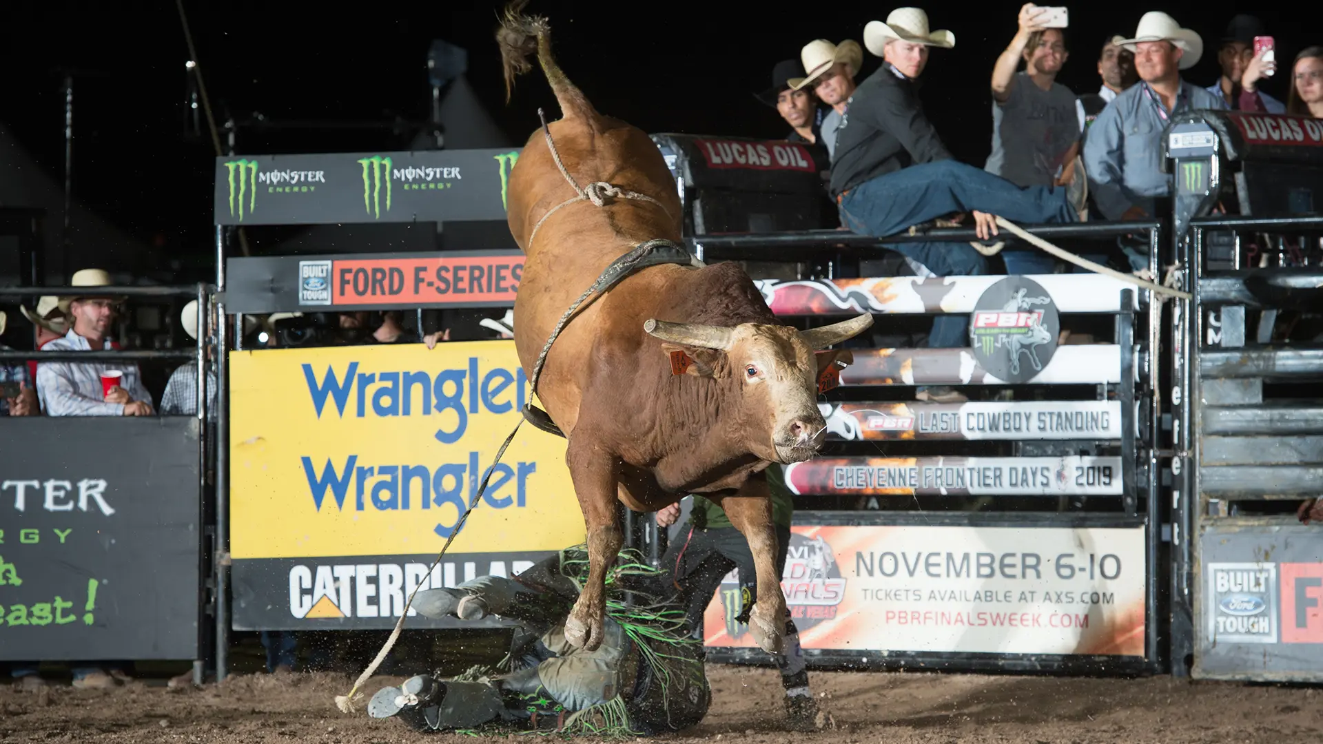 A closer look at the 2019 World Champion Bull race