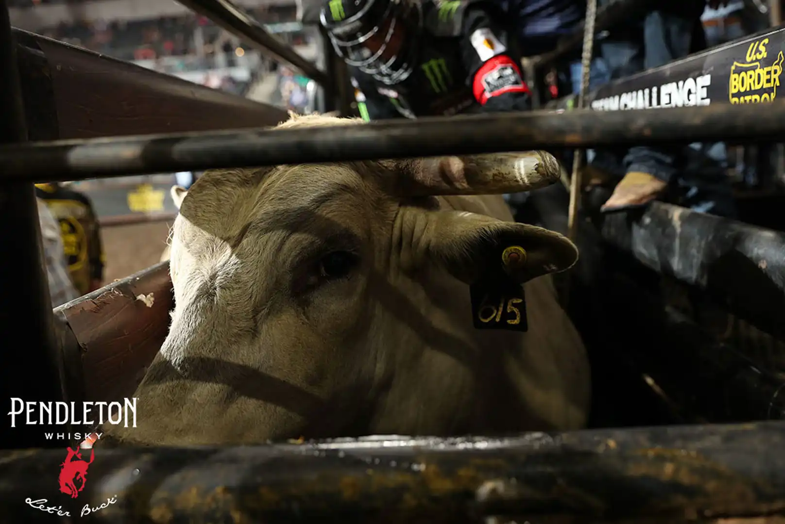 0416e051-0352-44cd-a56c-713491b79807