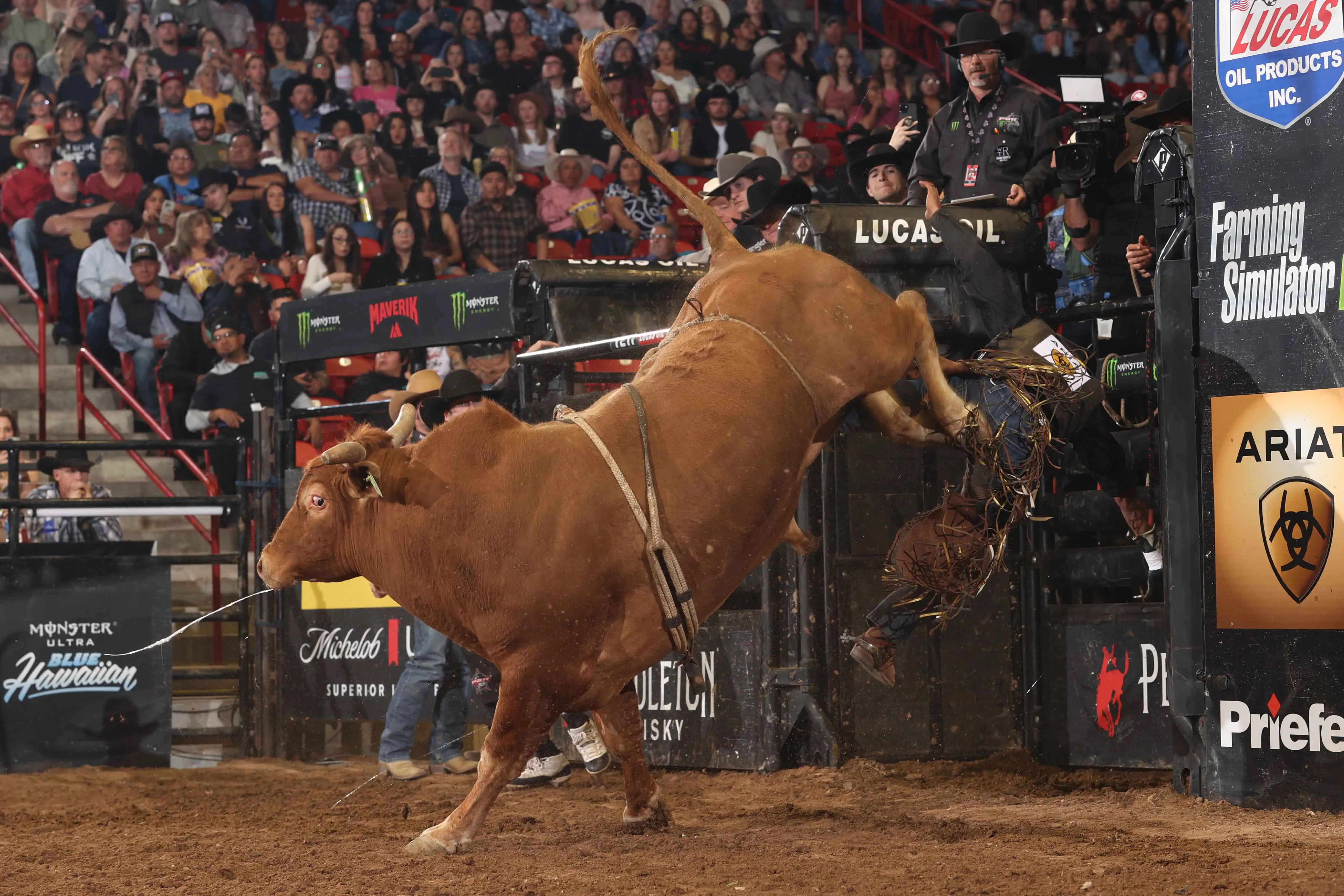 25 LIVE Albuquerque 02 228