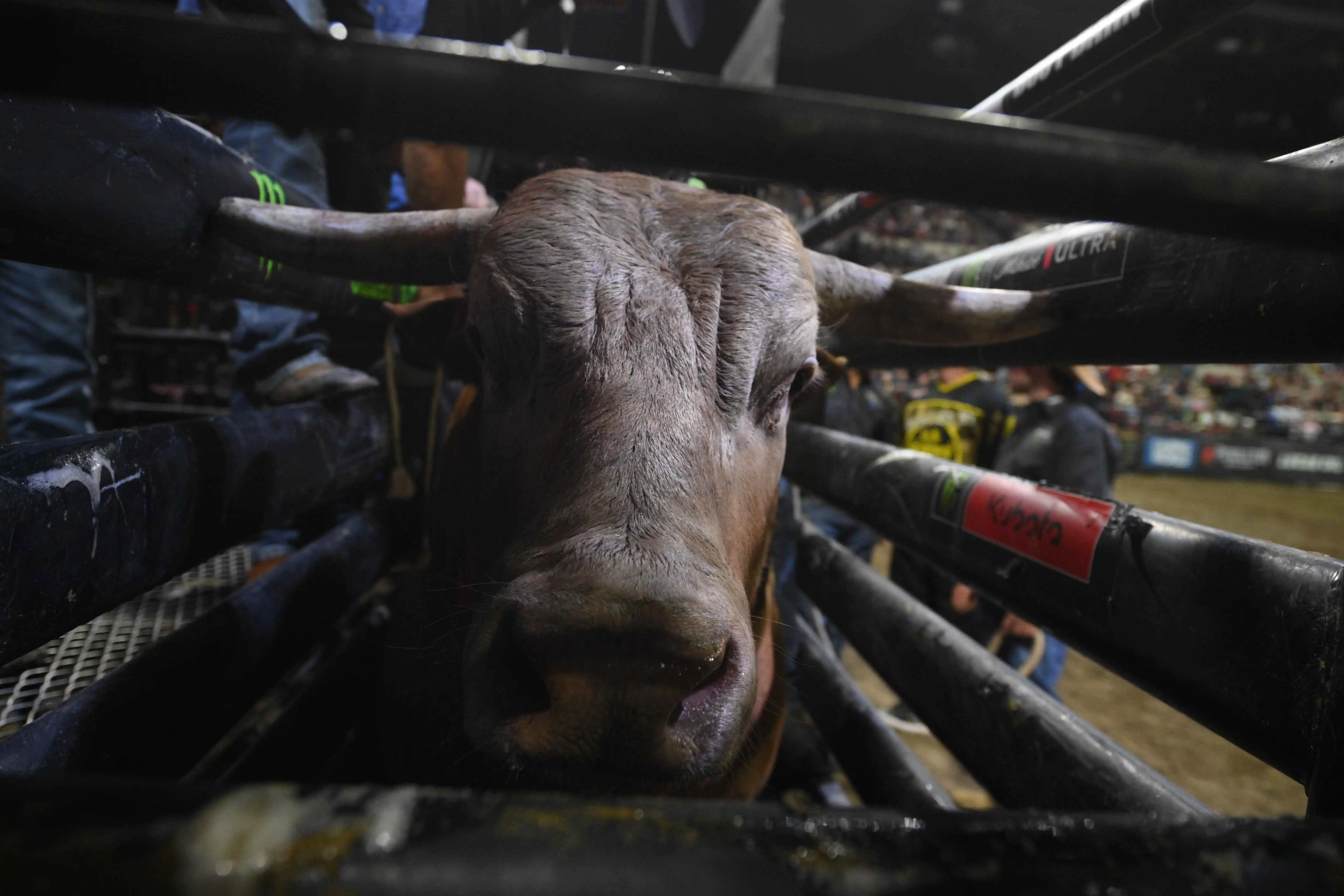 25 LIVE Billings 02 621