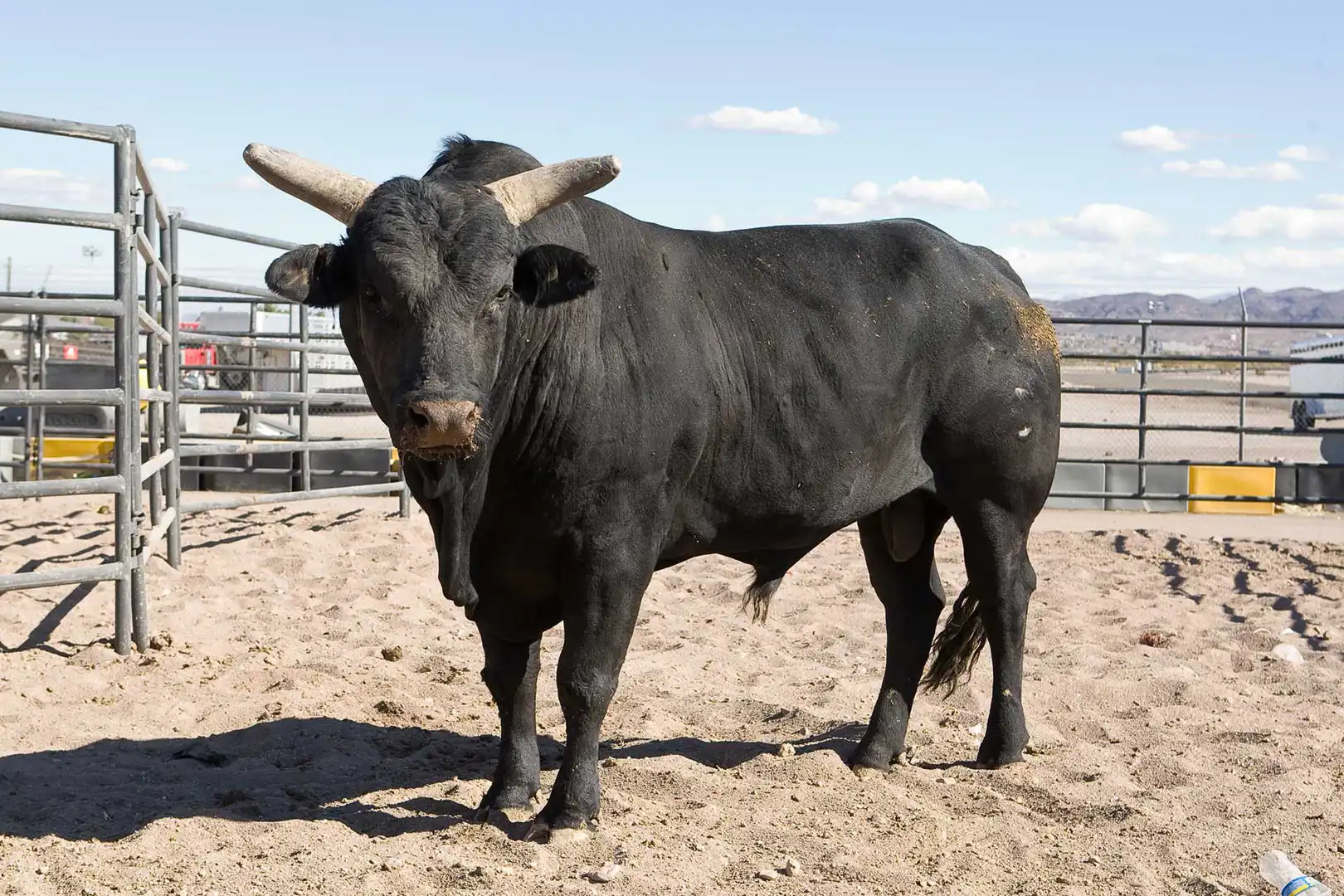 1f0c760b-2665-4c8c-8d77-bdbdee9b6e65