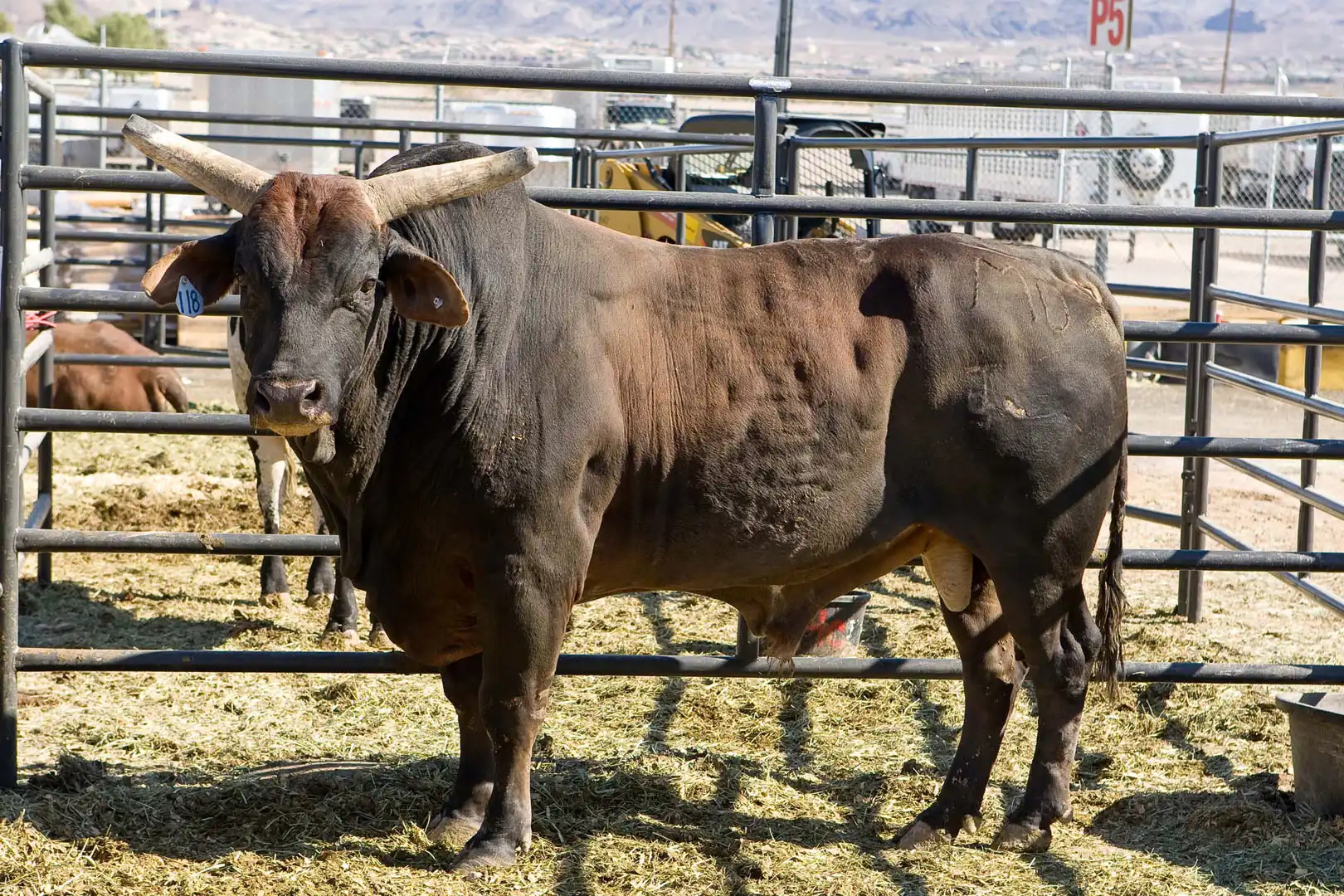 acb80eca-9744-4a90-bbdd-ec06e8772d58