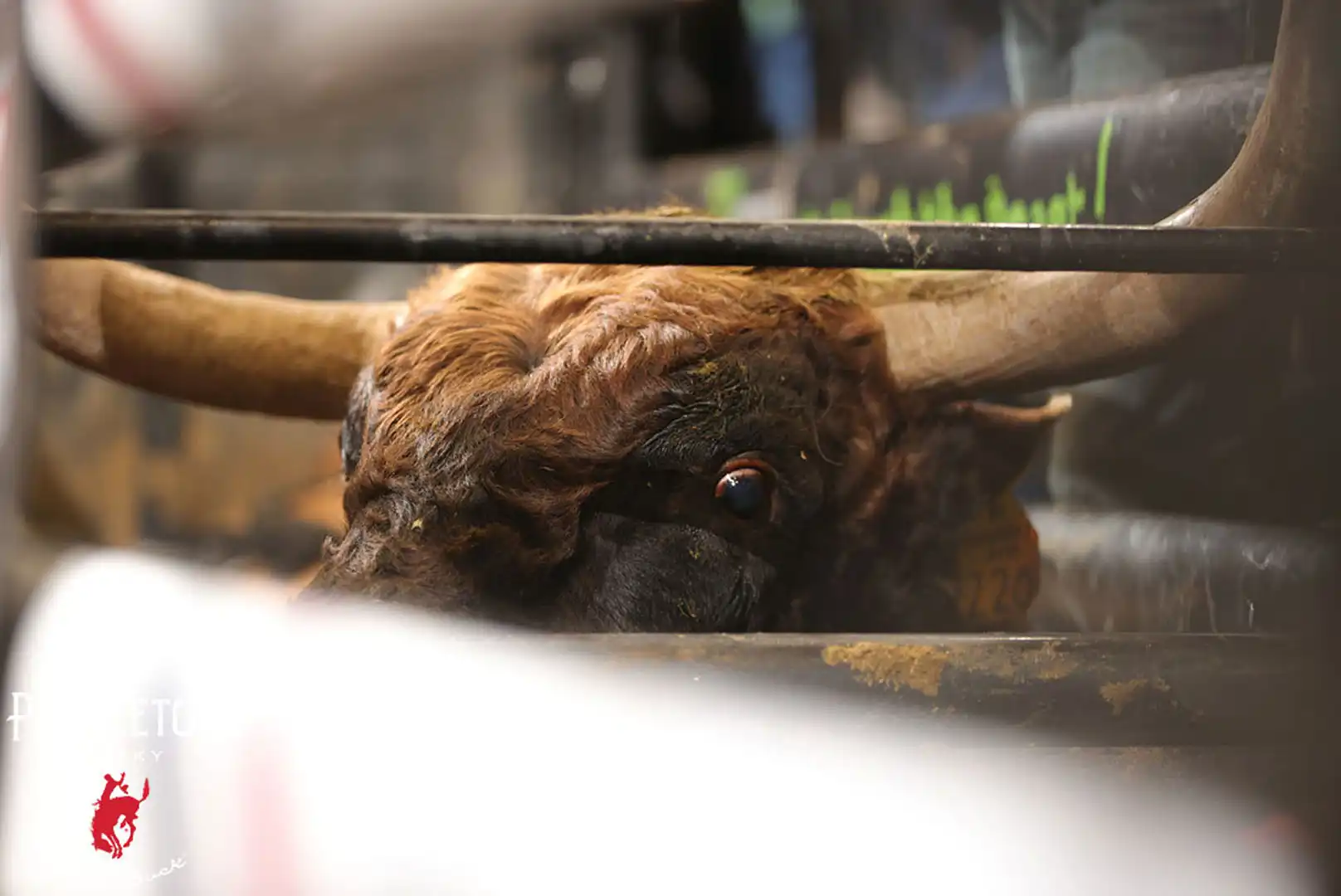 0a7b5366-863e-487f-95af-7de5344b4e5d